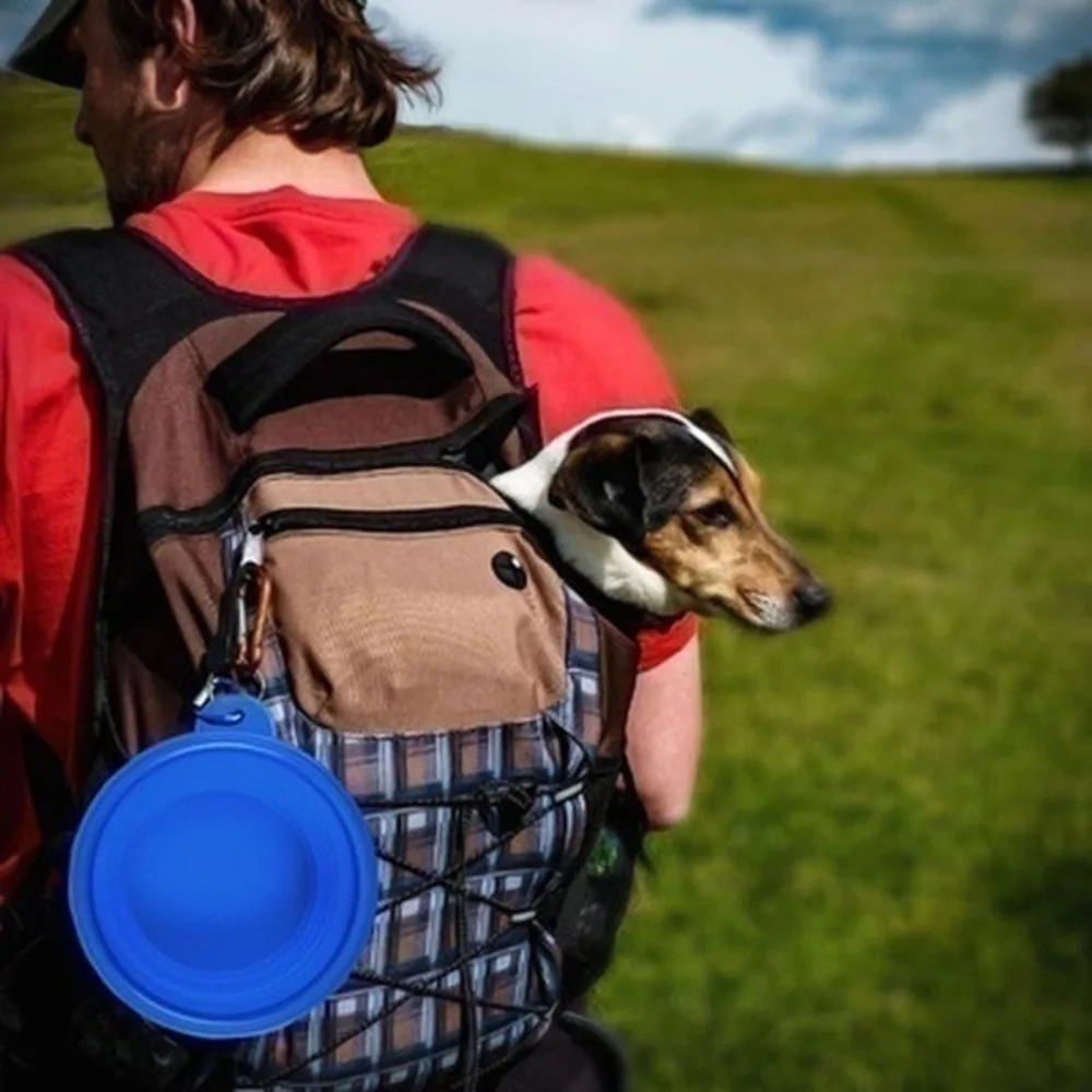 pet bowl